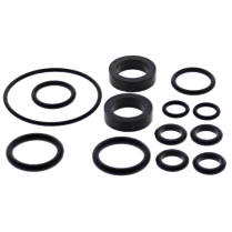 FUEL INJECTOR AND THROTTLE BODY O-RING KIT