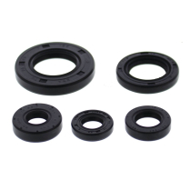 ENGINE OIL SEAL KIT
