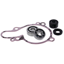 WATER PUMP KIT