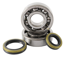 BEARING & SEAL KIT SUZ. RM 125 01-07
