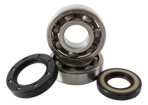 BEARING & SEAL KIT HONDA TRX 250R 85-89