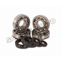 BEARING & SEAL KIT SUZ. LT250R 88-92