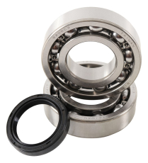 BEARING & SEAL KITS KX250F 04-08, KLX 400 2003