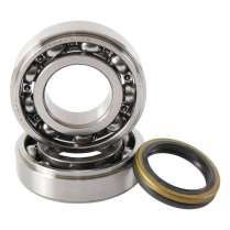 BEARING & SEAL KITS  RMZ 250 2007
