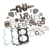 COMPLETE ENGINE REBUILD KIT RNG 1000 EPS (19)