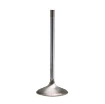 SOUPAPE GENERIQUE, WHITE DIAMOND™ STAINLESS, 2.100"  X 5/16