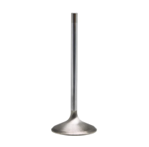 SOUPAPE GENERIQUE, WHITE DIAMOND™ STAINLESS, 1.700"  X 5/16