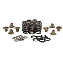 BEEHIVE SPRING KIT, TITANIUM, 0.465" LIFT, HARLEY-DAVIDSON®,