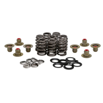 BEEHIVE SPRING KIT, TITANIUM, 0.550" LIFT, HARLEY-DAVIDSON®,