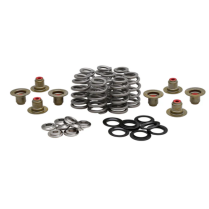 BEEHIVE SPRING KIT, TITANIUM, 0.625" LIFT, HARLEY-DAVIDSON®,
