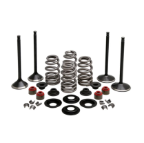 ENS. MOTEUR, HARLEY-DAVIDSON, EVO SPORTSTER 1200CC, 2004-17