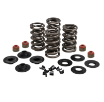 SPRING KIT, LIGHTWEIGHT RACING, 0.650" LIFT, VARIOUS 7MM HAR