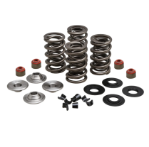 RACING SPRING KIT, TITANIUM, 0.650" LIFT, VARIOUS 7MM HARLEY