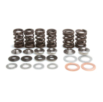 SPRING KIT, .500 LIFT, HONDA, HAWK NT 650