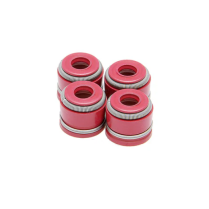 ENS. DE JOINT, VITON ROUGE, ADM/ECHAP, HON, TRX™ 450R/ER, 06-14