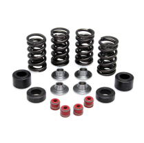 SPRING KIT, 0.385" LIFT IN/EX, HONDA, CRF 250R, 2010-'12		..