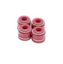 ENS. DE JOINT VITON ROUGE, ADM/ECHAP., HONDA, CRF 450X, 05-17