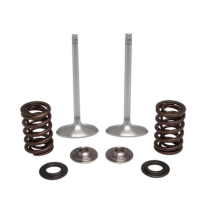 SPRING KIT, INTAKE ONLY, .440" LIFT, HONDA®, CRF™ 450R/RX/WE