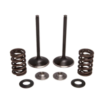 INTAKE VALVE KIT, HONDA®, TRX™ 450R, 2004-2005