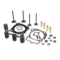 CYL. HEAD SERV. KIT, HONDA®, CRF™ 450R, 2007-2008