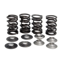 RACING SPRING KIT, TITANIUM, 0.390" LIFT, HONDA®, VARIOUS 25