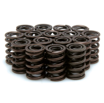 SPRING ONLY, .480 LIFT, HONDA, CBR 900RR (RETAINERS NEEDED)