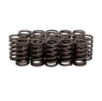 SPRINGS, CR-SI, IN/EX, KAWASAKI®, ZX-10R™, 2008-2010