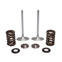 SPRING KIT, INTAKE ONLY, 415" LIFT, KAWASAKI®, KX™ 250F, 201