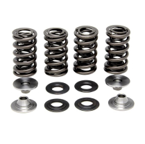 SPRING KIT, .445" LIFT IN/EX, SUZUKI, RM Z250, 2003-'06