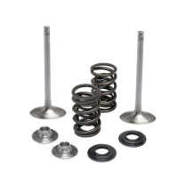 SPRING KIT, .415" LIFT, SUZUKI, RM Z450, 2005-'07 (INTAKE ON