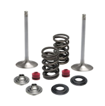 SPRING KIT, .445" LIFT, SUZUKI, RM Z250, 2007-'15 (INTAKE ON