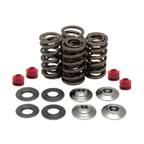 SPRING KIT, .445" LIFT IN/EX, SUZUKI, RM Z250, 2007-'11