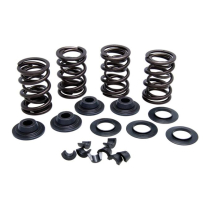 SPRING KIT, .500 LIFT, TRIUMPH, 650 / 750