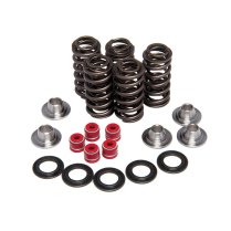 SPRING KIT, .380" LIFT IN/EX, YAMAHA, WR/YZ 450F, 2003-'09