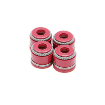 ENS.JOINT, VITON ROUGE, ADM/ECHAP., YAM, YZ™ 250F/FX, 14-18