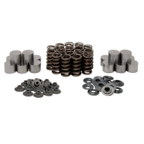 SPRING KIT (SHIM-IN-TAPPET), HT STEEL, 0.445" LIFT, ARCTIC C