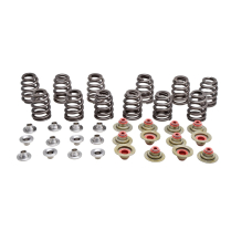 BEEHIVE SPRING KIT, TITANIUM, .350" LIFT, CAN-AM®, MAVERICK