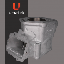 CYL. BRP 600 ETEC 2009 REPLAQUÉ