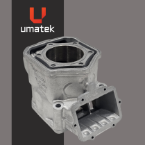 CYL. REPLAQUE ROT 600 RS 2012