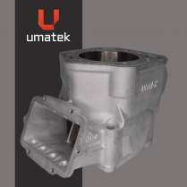 CYLINDER - SKI DOO  MXZ 800 01-02