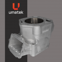 CYLINDRE REPLAQUÉ - BRP MXZ 800 DECOMP. 01-04