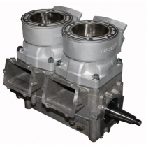 MOTEUR RÉUSINÉ 2-CYL.POL 800 L/C ROUL. H.D. PRISE DE FORCE 02-05