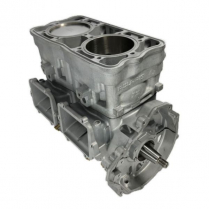 MOTEUR RÉUSINÉ POL 800 2010 #CYL3022201  5631801 / 5631800