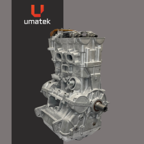 SHORT BLOCK RNG 1000 2017-18