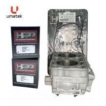 TOP REPAIR KIT - POLARIS MONOBLOCK RMK 800CC 2-CYL