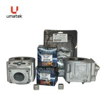 TOP REPAIR KIT - POLARIS 2 CYLINDERS 600 DRAGON