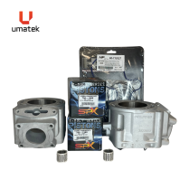 TOP REPAIR KIT - POLARIS 2 CYLINDERS RMK 600 2012 SWITCHBACK