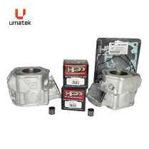 TOP REPAIR KIT - SKI-DOO 2 CYLINDERS 600 SDI MXZ REV 2004