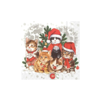 IHR LUNCH NAPKINS CATMAS 20PK