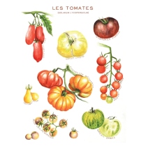 MAISON LORRAIN TOMATOES TEA TOWEL